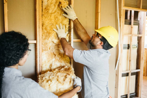 Best Wall Insulation Installation  in Valley Forge, TN